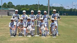 Image result for Sidewinders Baseball Club