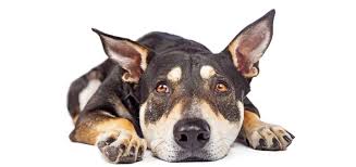 Image result for Onebestway