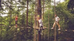 Image result for The Go Ape Experience (Swinley Forest)