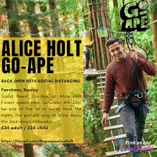Image result for Go Ape! Alice Holt