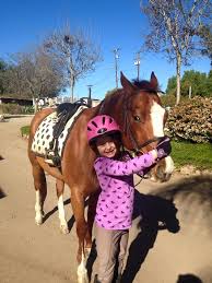 Image result for Abinger Forest Riding Club