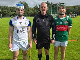 Image result for Causeway Hurling Club