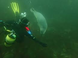 Image result for Leeds Free Divers Octopush Club