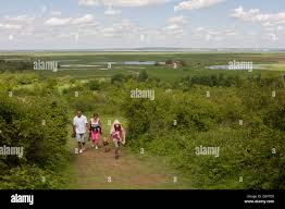 Image result for Lower Halstow Fc