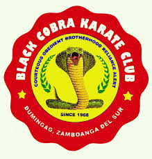 Image result for Cobra Karate Club