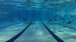 Image result for Inverness Octopush Club