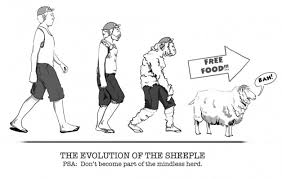 Image result for sheeple