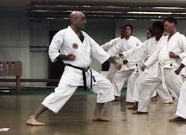 Image result for York University Karate Club