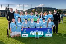 Image result for Skye Camanachd