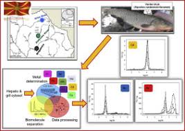 Image result for Squalius vardarensis