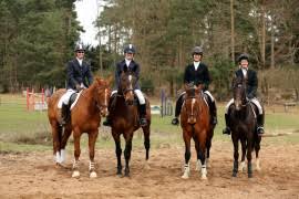 Image result for Bookham Riding School