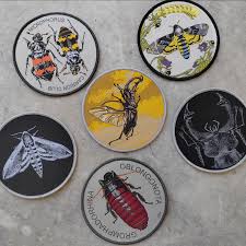 Attēlu rezultāti vaicājumam “Nicrophorus investigator”