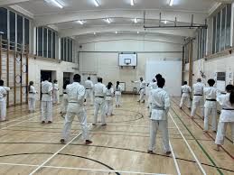 Image result for Wanstead JuJitsu Club