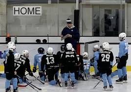 Image result for West Coast Wasps Skater Hockey Club