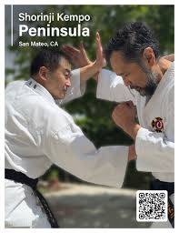 Image result for Tolworth Shorinji Kempo Branch