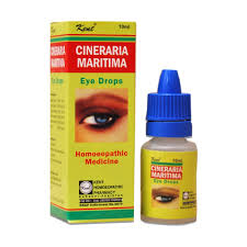 Image result for Cineraria maritima