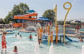 Image result for City of Preston Aquatics