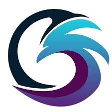 Image result for Normanton Falcons Netball Club