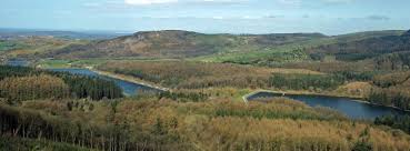 Image result for Macclesfield Meltdown