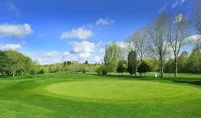 Image result for Downshire Golf Complex