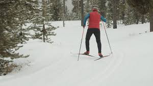 Image result for Scandinavian slope and cross country skiing