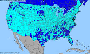 Attēlu rezultāti vaicājumam “Melilotus wolgicus flower”