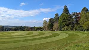 Image result for Liphook & Ripsley Cc