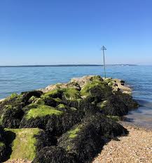 Image result for Solent and Gosport