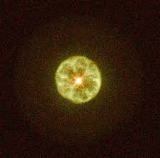 Attēlu rezultāti vaicājumam “Leptophlebia nebulosa”