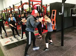 Image result for York University Boxing Club