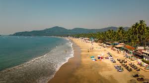 Image result for goa beaches