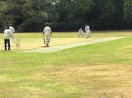 Image result for Woking and Horsell Cricket Club