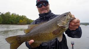 Image result for The Lancaster Fish