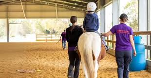 Image result for Buchan Group Riding For The Disabled