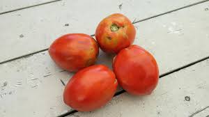 Afbeeldingsresultaat voor amish paste tomato