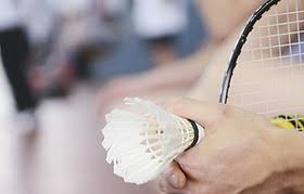 Image result for Solihull Borough Bad Squad Badminton Club