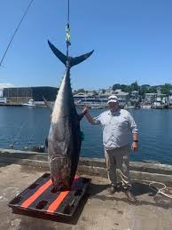 Image result for giant tuna