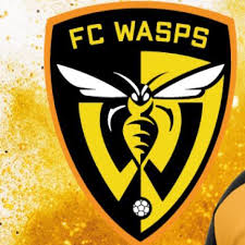 Image result for Wasps Football Club