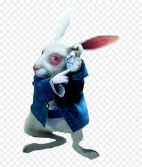 Image result for alice in wonderland rabbit