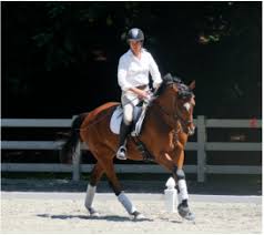 Image result for Lakes Riding Club