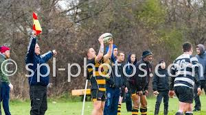 Image result for Matson Rugby Football Club