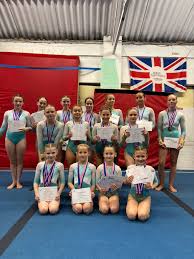 Image result for Mansfield Olympic Gymnastics Club
