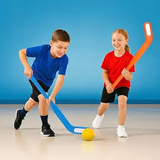 Image result for Indoor Hockey (Casual Use)