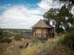 Image result for Bugaboo Bee Matthew McConaughey