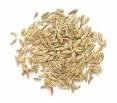 Cook's Thesaurus: Global Spices