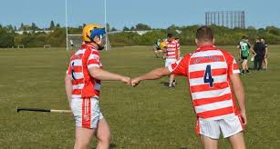 Image result for Sean Treacy`s Hurling Club