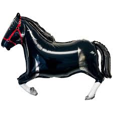 Image result for Black Horse Ballooning Club