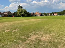 Image result for Worplesdon & Burpham Cricket Club