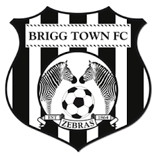 Image result for Brigg Hockey Club