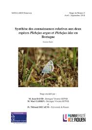 Attēlu rezultāti vaicājumam “Plebejus argus / Plebejus idas”